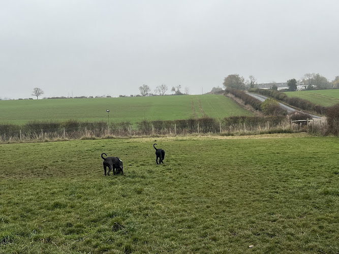 Doggy Play Night and Day Dog Park, Stillington in Stockton-on-Tees