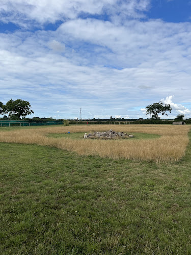 Doggy Retreat Dog Field, Hambrook in South East