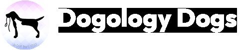 The Dogology Dog Field, Hertford in East of England