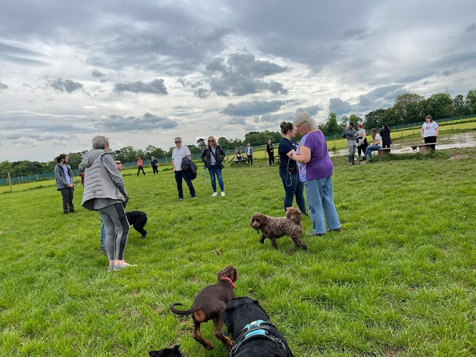 Dogs Go Dog Parks, Neston in Cheshire West and Chester