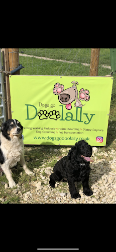 Dogs Go Doolally in Nottingham