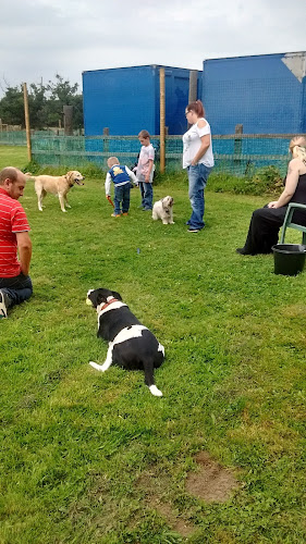 Dogs Play Centre (Dog Field), Colchester in Essex