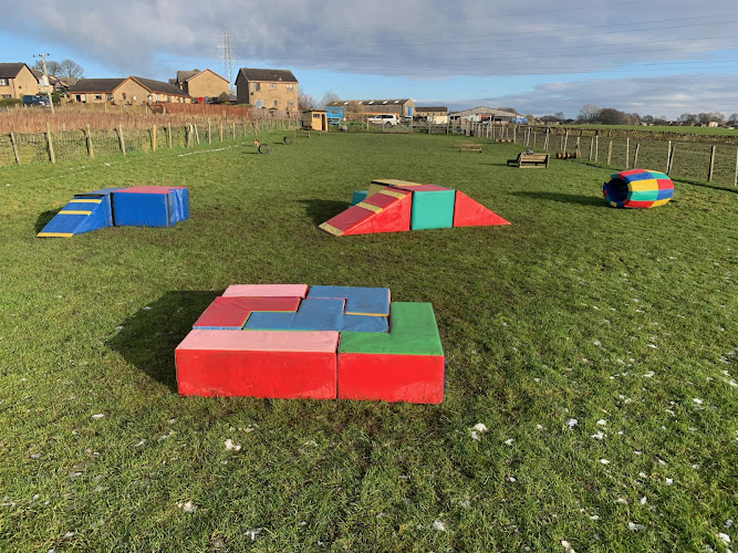 Dogs Unleashed, Birkenshaw in Bradford