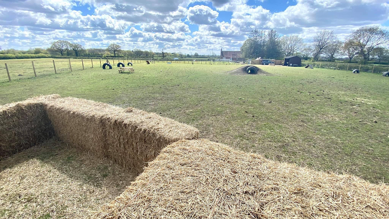 Dogtopia Play Park, York in Earswick