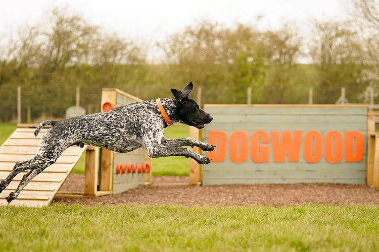 Dogwood Adventure Play, Stockton-on-Tees in Darlington