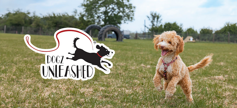 Dogz Unleashed Dog Field, Bridgend in Bridgend