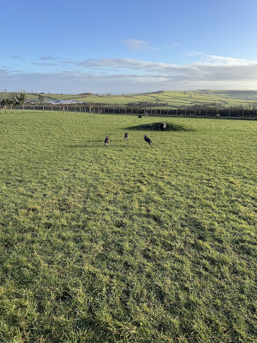 Dundry Dog Field in Bristol
