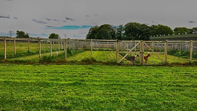 Early Paws Dog Fields (3 facilities), Runcorn in Cheshire West and Chester