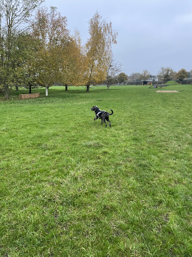Ely Dog Field in Ely
