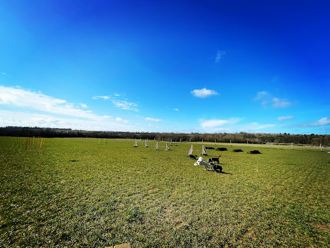 Enslow Secure Dog Field, Kidlington in South East