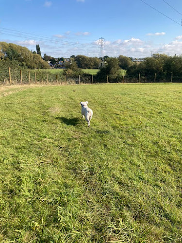 Evesham Dog Walking Field, Evesham in Evesham