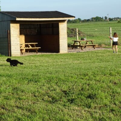 Fallow Corner, Dog Exercise Field, Manea in Fenland
