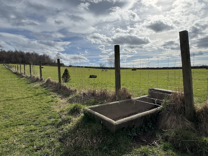 Feath, Dog Fields, Turriff in Aberdeenshire