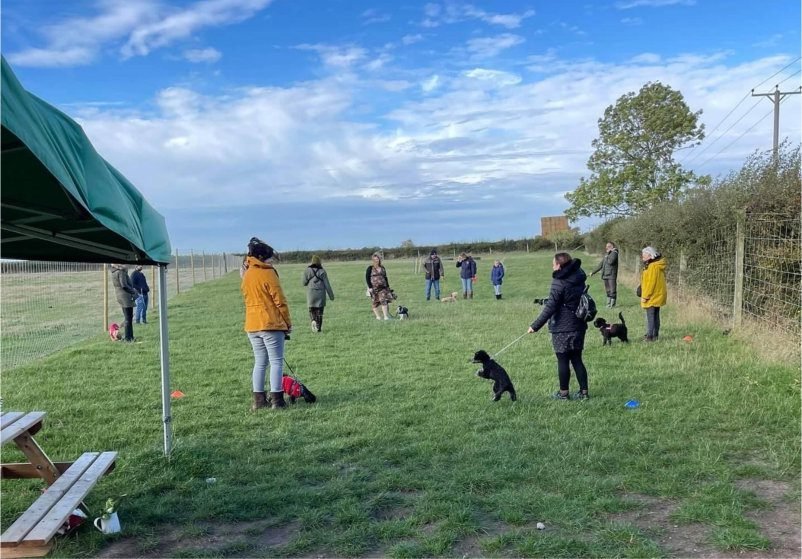Fen Farm Run Free in South Kesteven