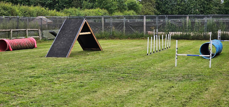 Fidos Fields Dog Park and Agility, Astley in Wigan