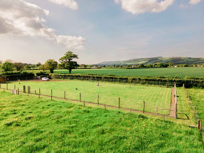 Fitzroy Paddock dog exercise area in Taunton