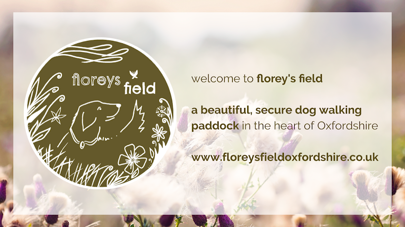 Florey’s Field Secure Dog Walking Paddock, Witney in Oxfordshire
