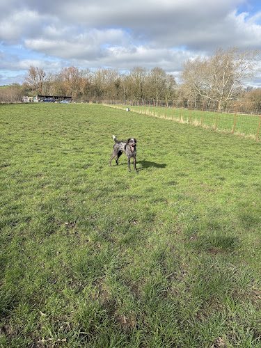 Follys Paddock, Westbury in Wiltshire