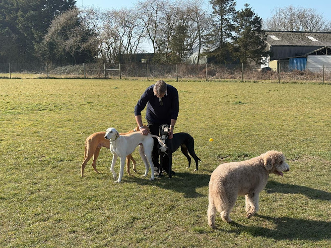 Foxes Farm Fields, Dog Field, Great Bromley in Little Bromley