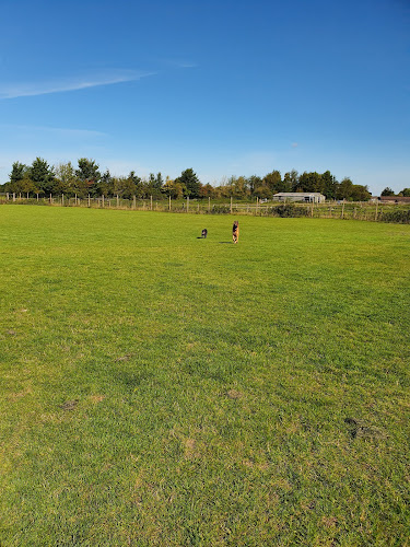 Foxham Dog Field, Chippenham in Swindon