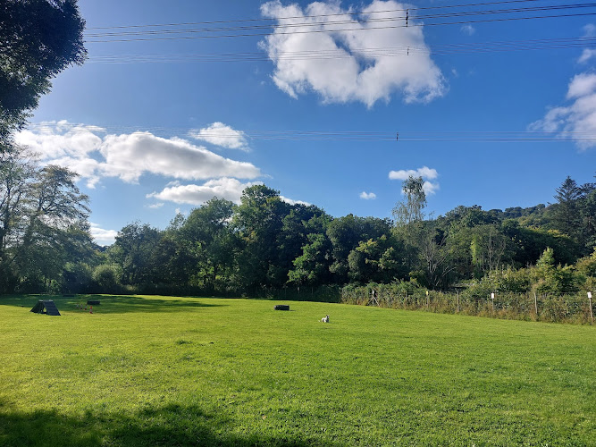 Freedom Dog Field, Honiton in Honiton