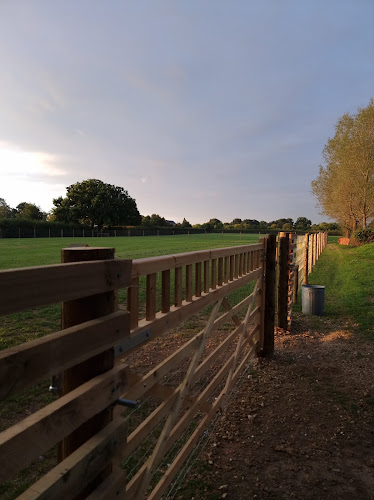 Freedom For Your Dog (Dog Field), Braintree in Braintree
