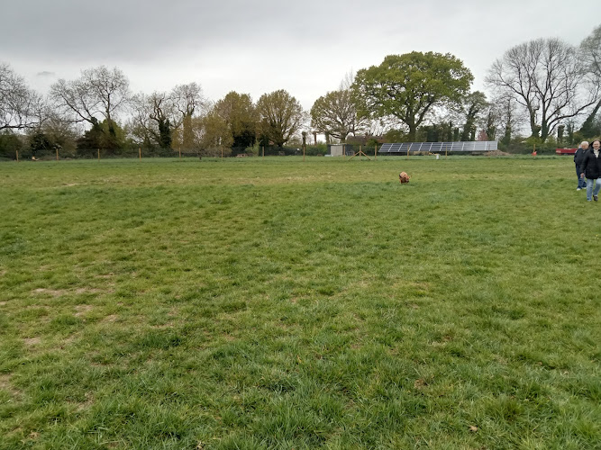 Froyle Dog Park, Alton in Alton