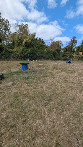 Fun and Run Seucre Dog Field, Dinas Powys in Vale of Glamorgan
