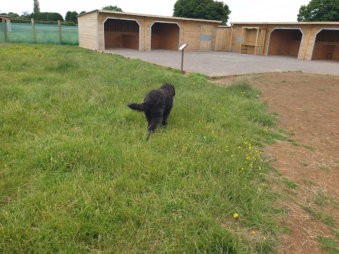 Fun4Paws secure dog field in Swindon