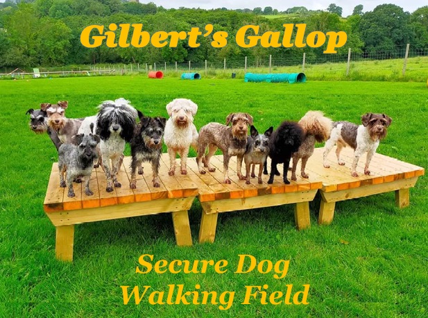 Gilbert’s Gallop, Shepshed in Charnwood