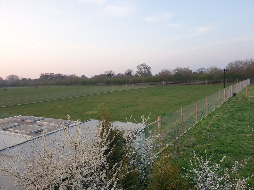 Glanwin Meadow Finmere in Oxfordshire
