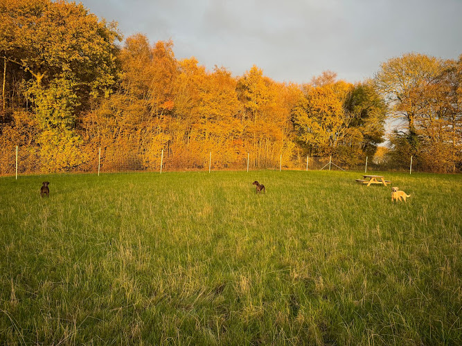 Gogway Dog Field, Canterbury in Canterbury