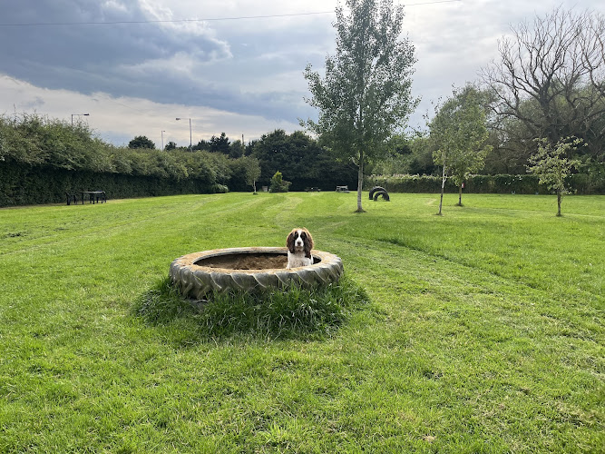 Golden Paws Ranch, York in Yorkshire and the Humber