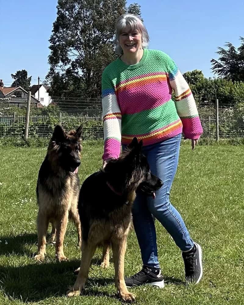 Golden Paws Essex in Chelmsford