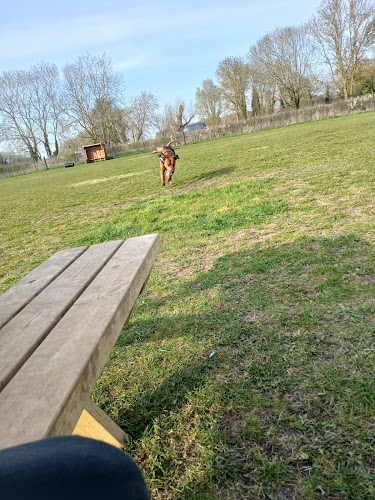 Grantchester Secure Dog Walking Paddock in Cambridge