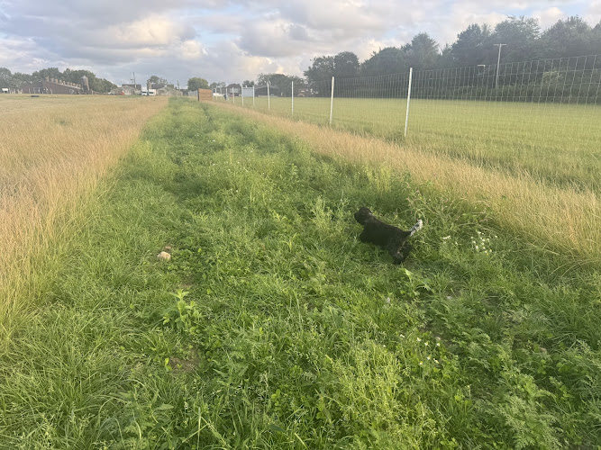 Greenhalgh Canine Club, Greenhalgh in Preston