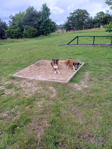 Greenhill secure dog field and agility course in Airdrie