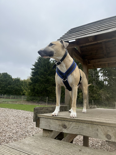 Grow Walkies Dog Field, Great Amwell in Hertfordshire