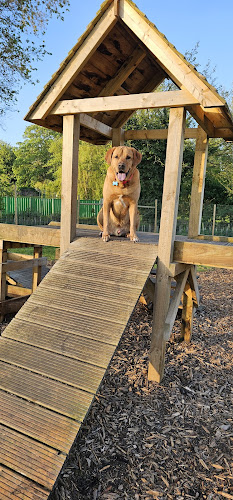 Grow Walkies Dog Field, Roydon in Essex