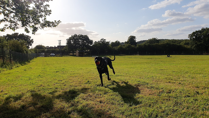 Hagley Park Secure Dog Fields, Stourbridge in Dudley