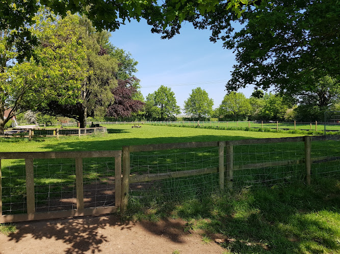 Hampton Hill Hounds Dog Field, Hampton-in-Arden in West Midlands