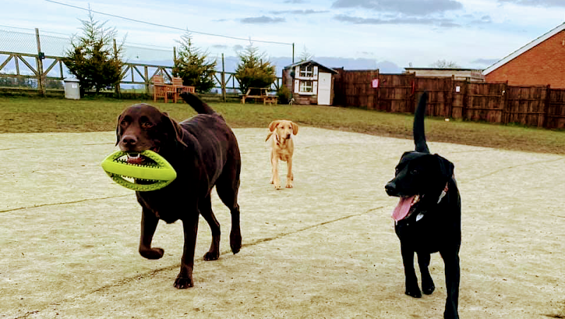 Happy Paws Dog Park, Boroughbridge in Marton-cum-Grafton