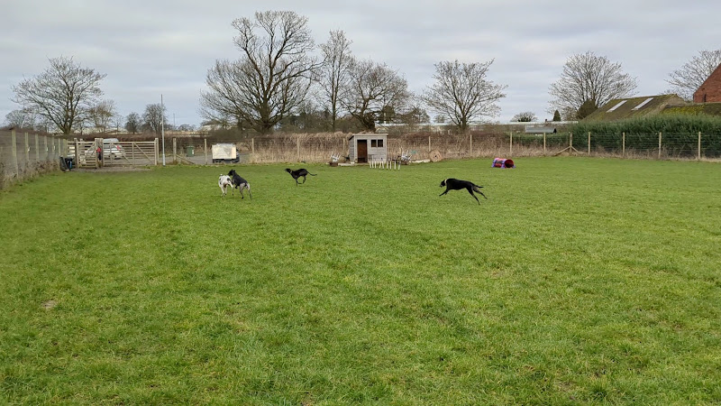 Happy Sniffers Dog Exercise Field, South Cave in Brough