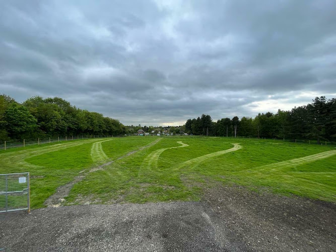 Hendred Hounds Secure Dog Field, Wantage in Oxford