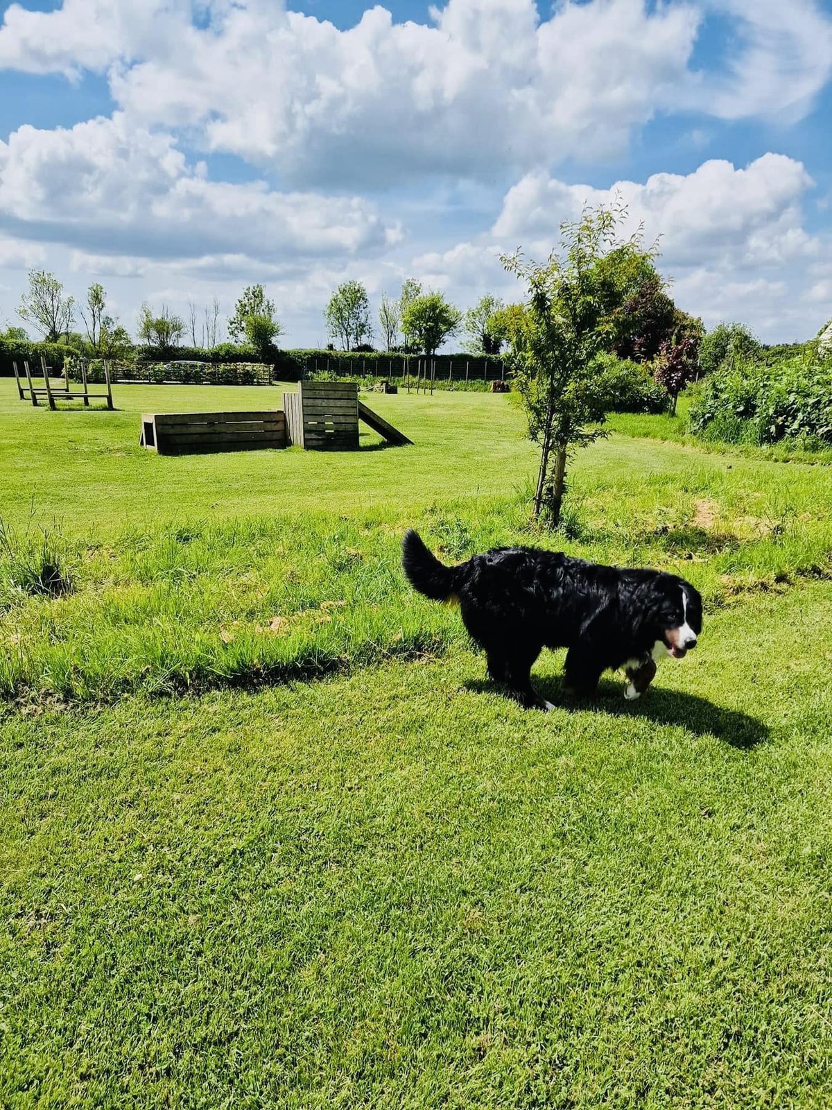 Hoe Cross Fields - Farm Field in Hambledon