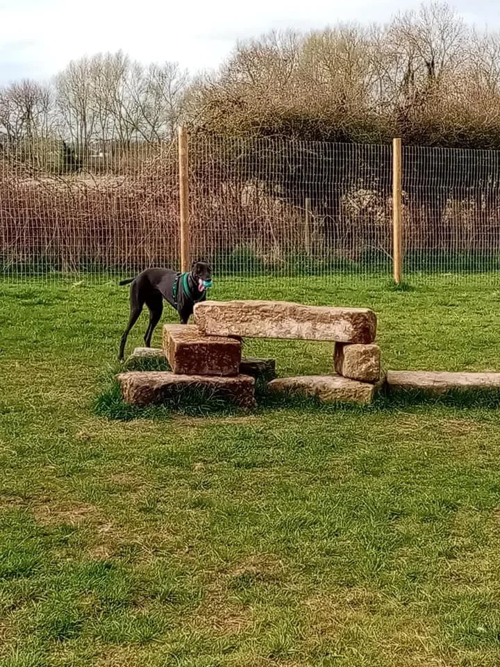 Hopewell Dog Parks, Knaresborough in Harrogate