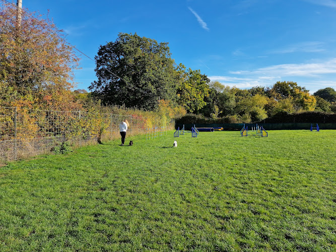 Hounds & Bounds Dog Fields - Paws Paddock, Sulhamstead in West Berkshire