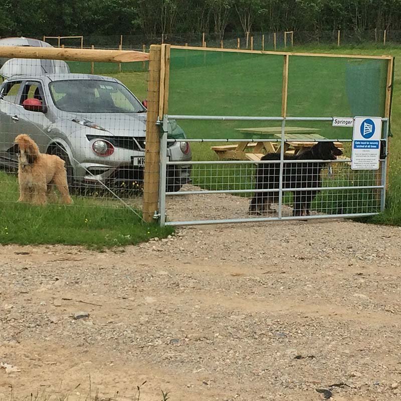Hounds Unleashed, Ivybridge in South West