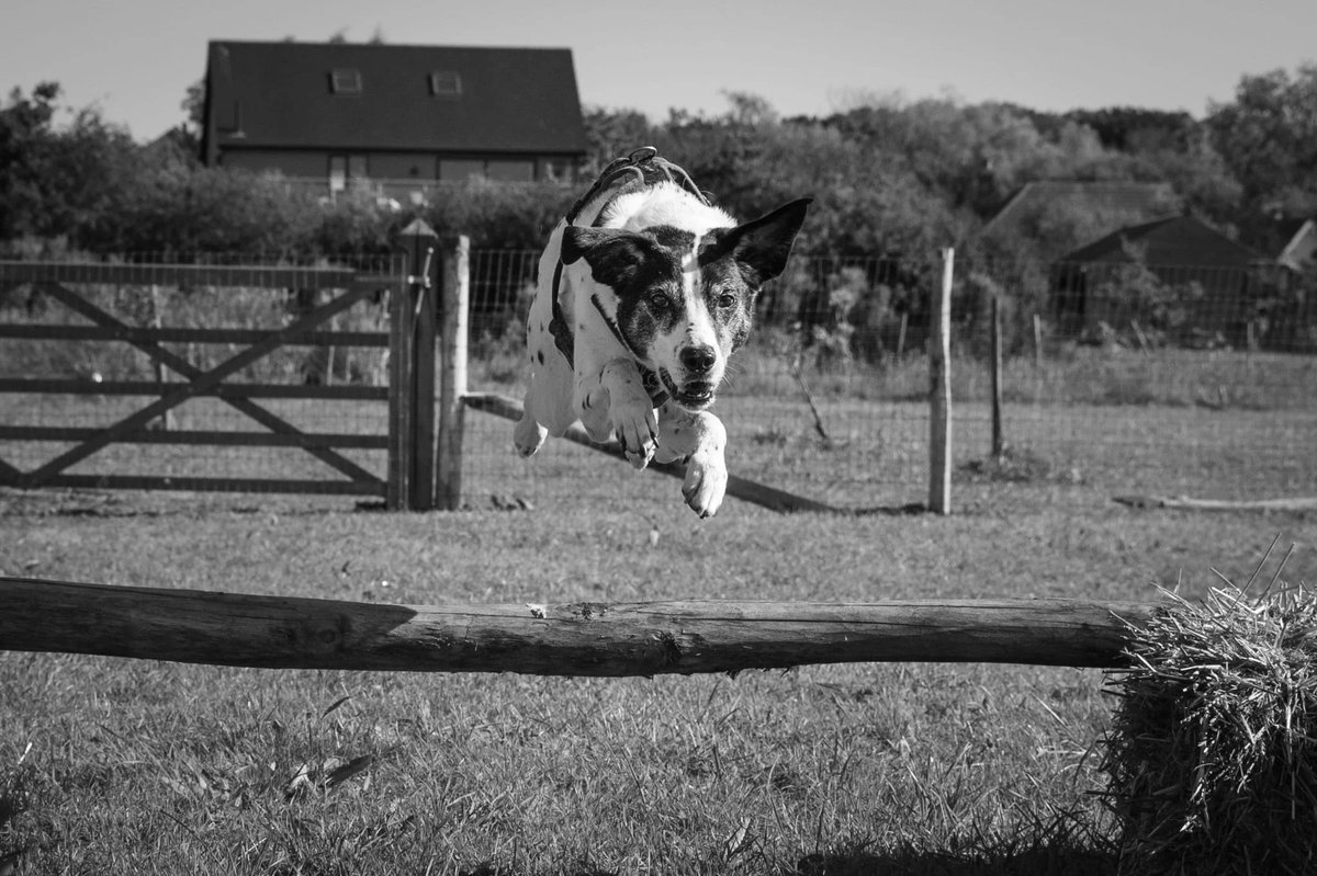 Hugo’s Fun Fields, Whitstable in South East