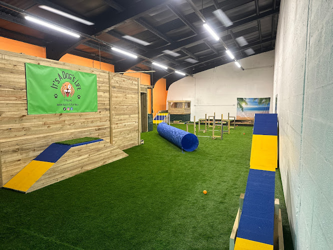It’s A Dog’s Life Indoor Facility, St Helens in St Helens